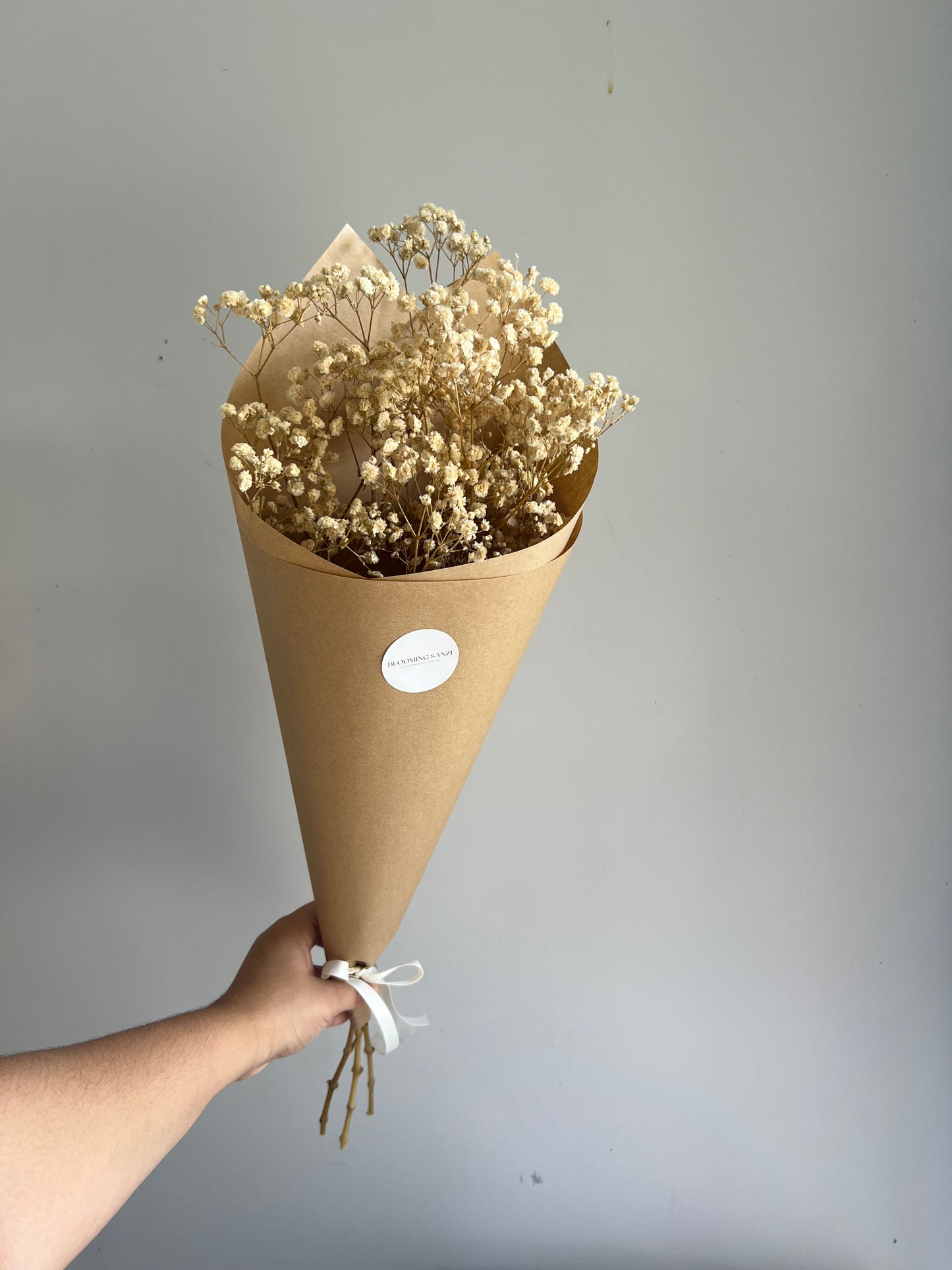 Dried Babies Breath - Natural