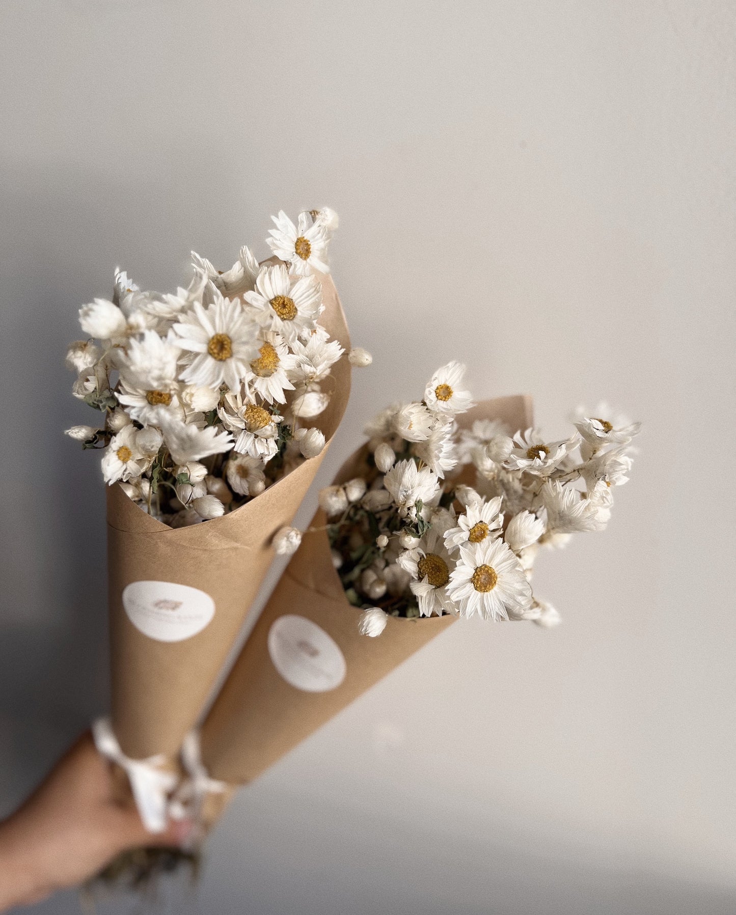 Delicate Daisy Bunch - Blooming Sanzi