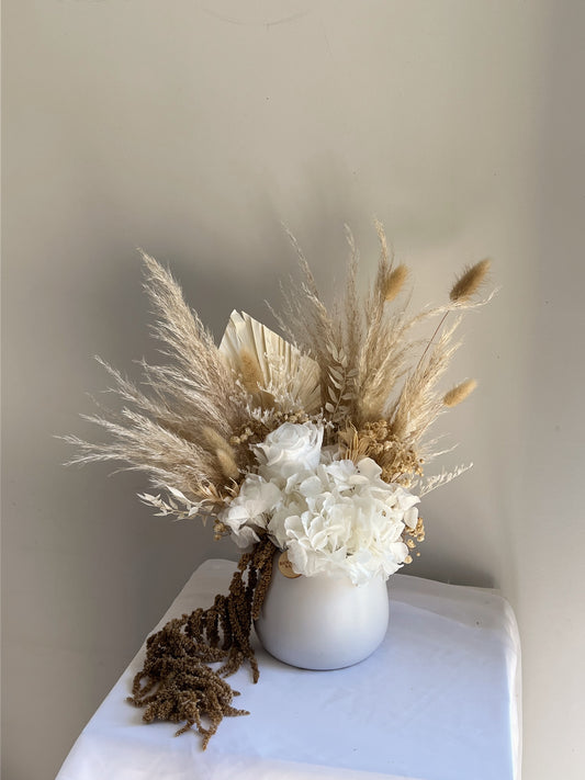 Dried Sahanzi