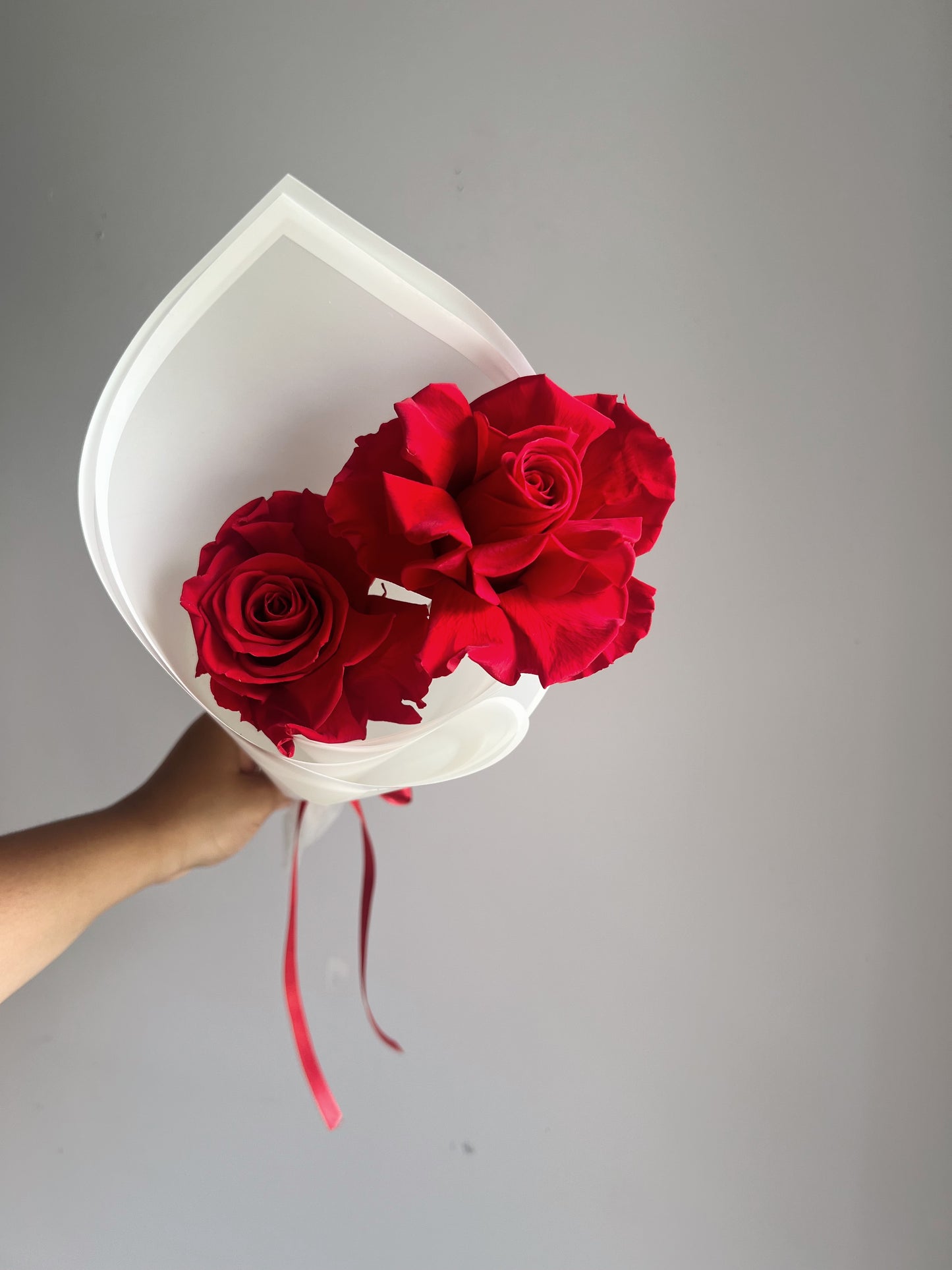 Preserved Red Rose