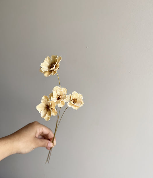Anemone Flower - Natural - Blooming Sanzi