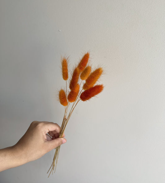 Bunny Tails - Orange - Blooming Sanzi