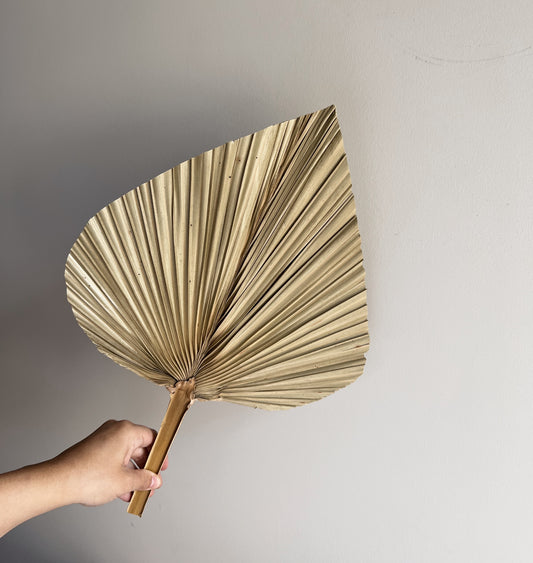 Medium Spear Palm - Natural - Blooming Sanzi