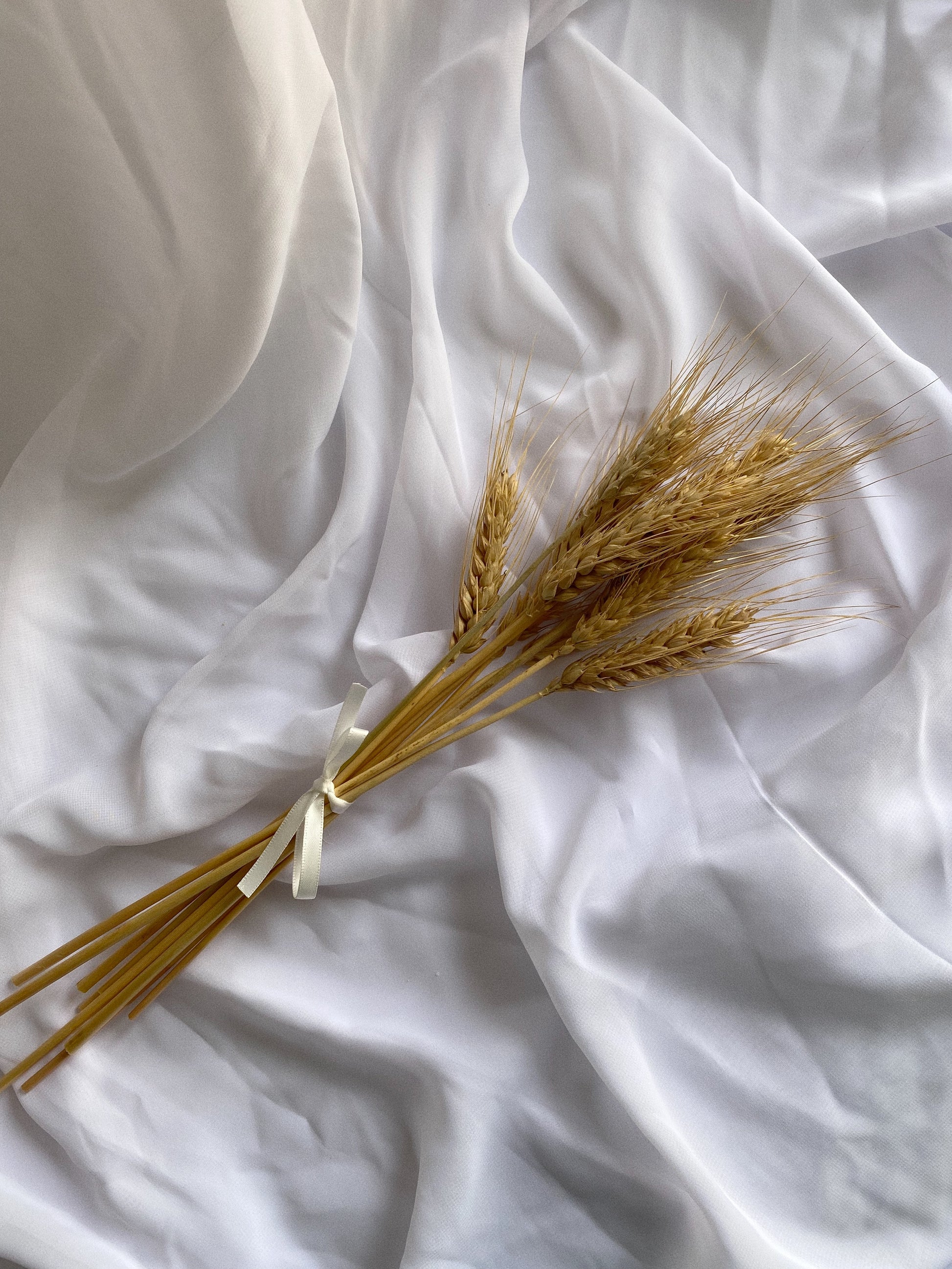 Dried Wheat - Blooming Sanzi