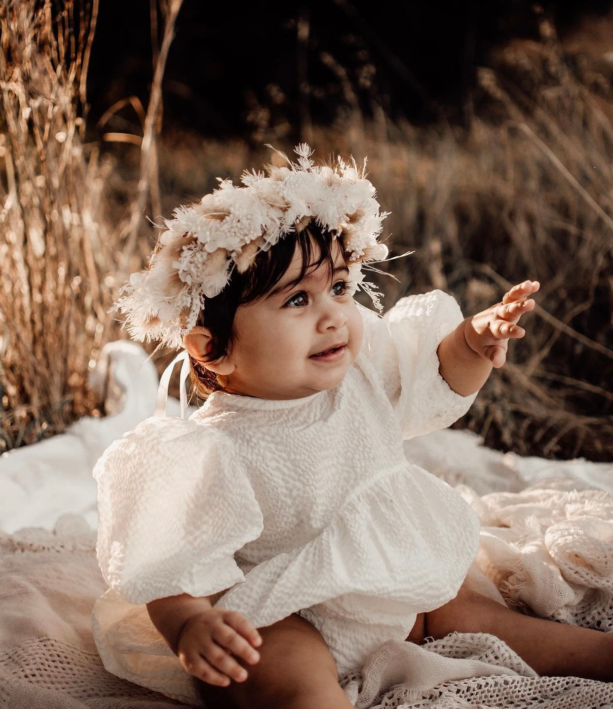 Dried Flower crown